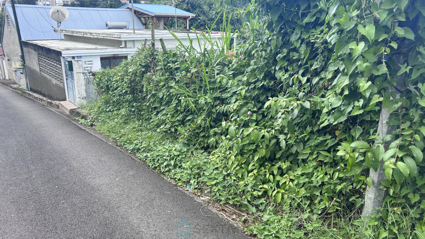 vente Terrain constructible Fort De France - Photo 6