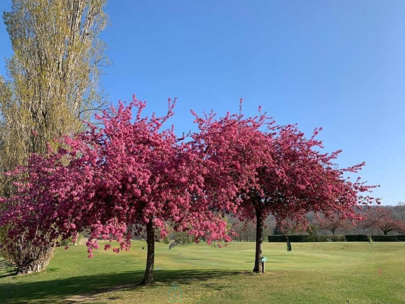 vente Propriété Fontainebleau - Photo 4