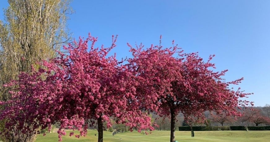 vente Propriété Fontainebleau