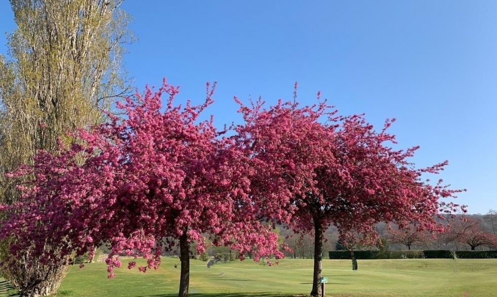 vente  Fontainebleau