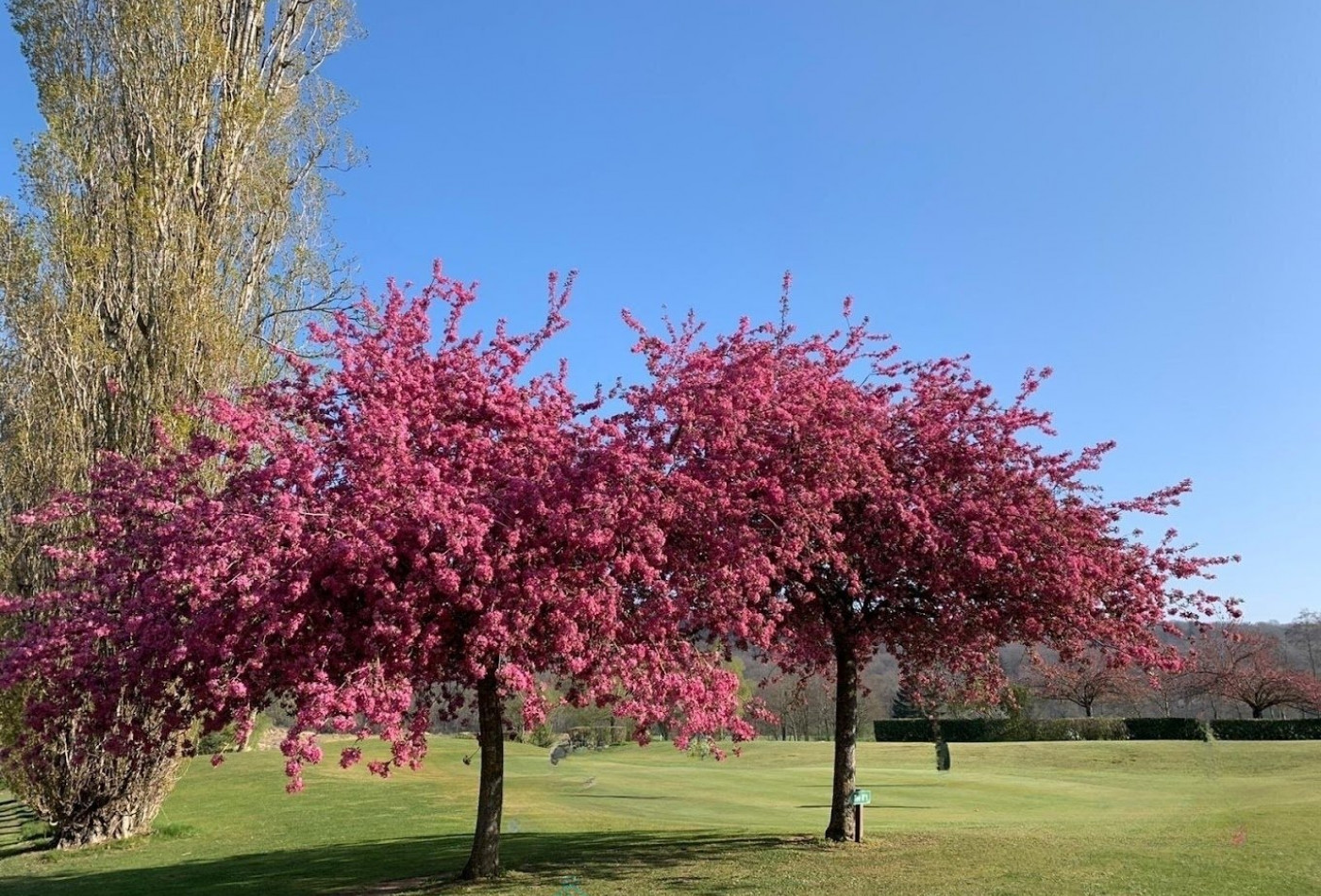vente Propriété Fontainebleau - Photo 4