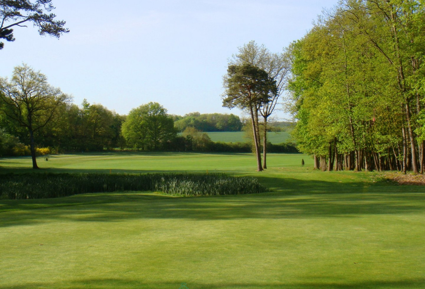 vente Propriété Fontainebleau - Photo 6