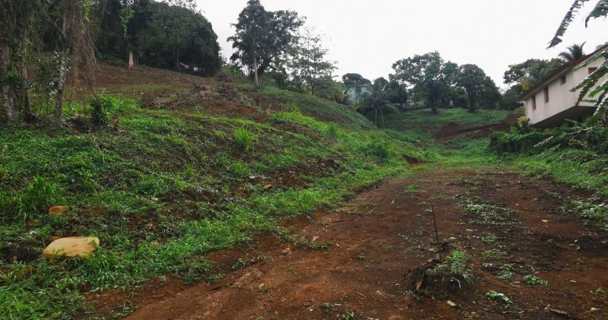 vente Terrain en lotissement Fort De France