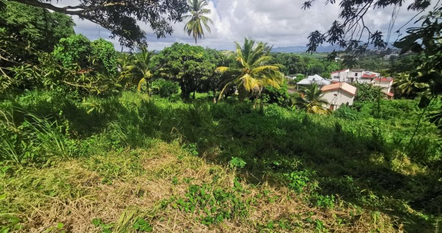 vente Terrain en lotissement Fort De France