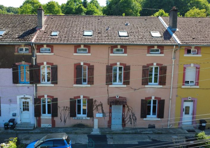 vente Immeuble Villerupt