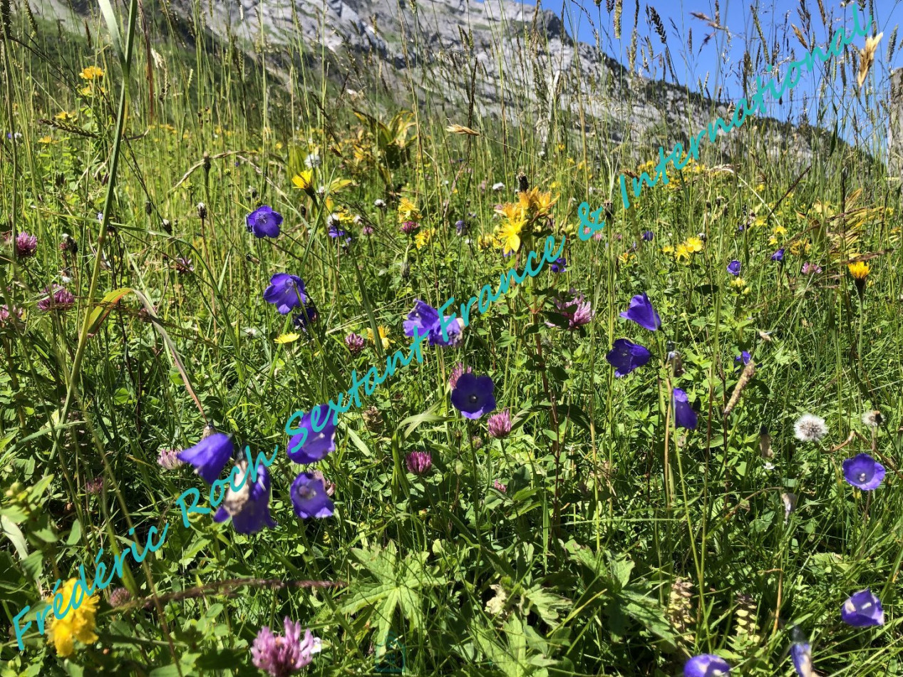 vente Chalet Le Grand Bornand - Photo 1