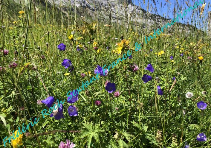 vente Chalet Le Grand Bornand