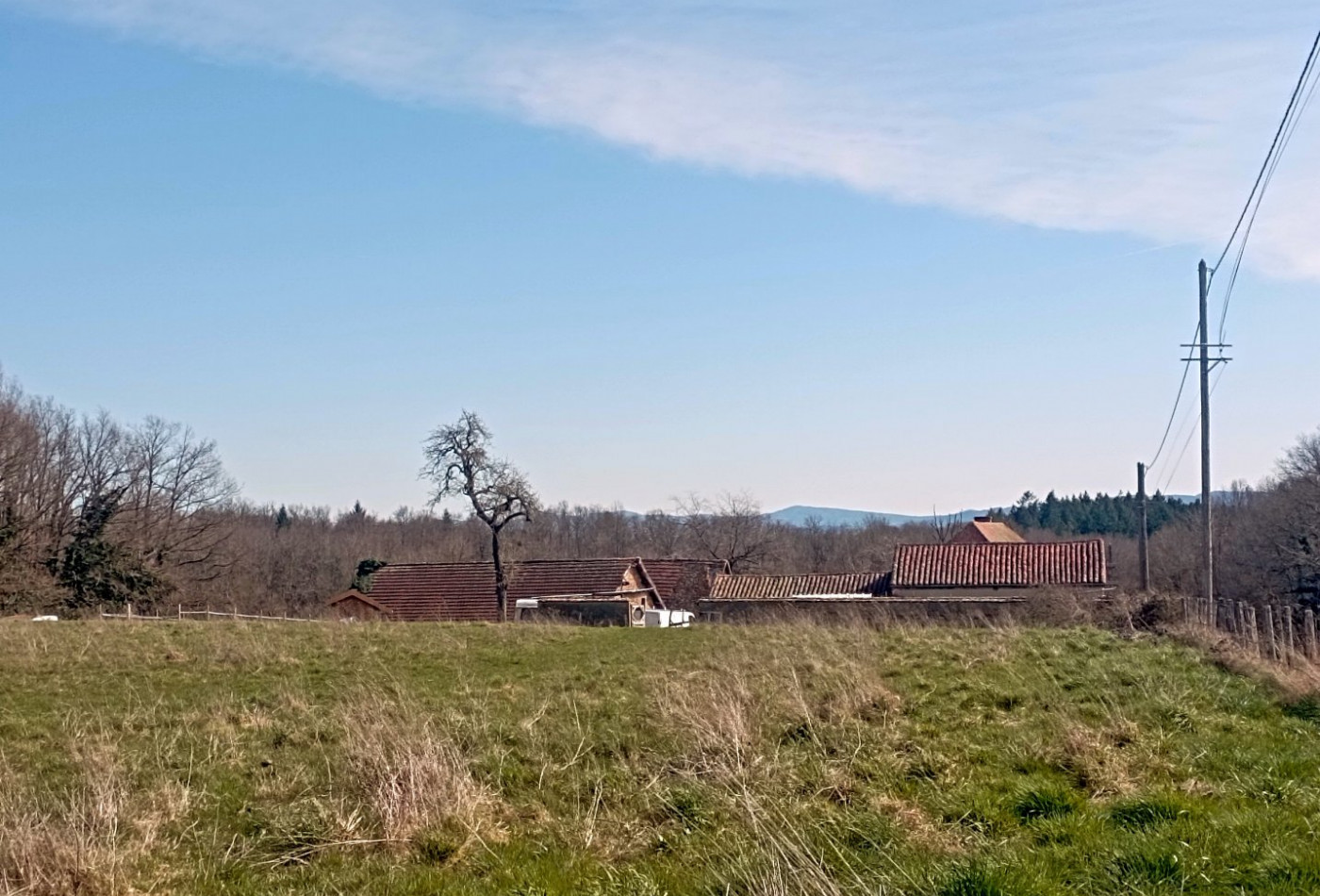 vente Maison Saint Pierre La Noaille - Photo 5