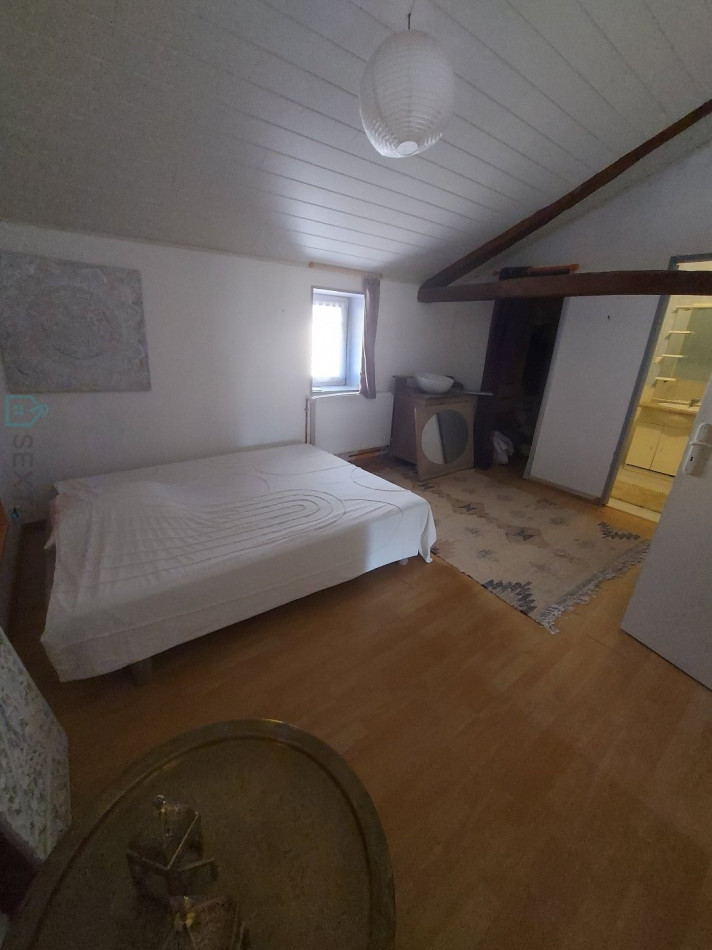 vente Propriété Saint Barthelemy De Bussiere - Photo 12