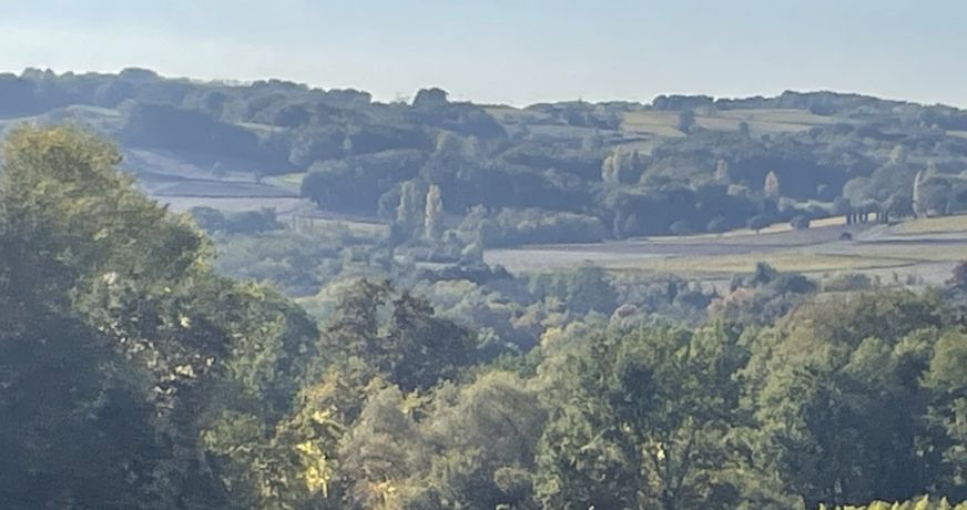 vente Propriété Saint Michel De Montaigne