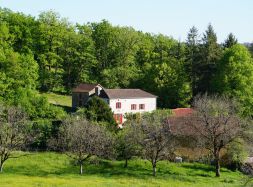 vente Corgnac Sur L'isle