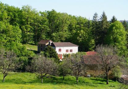 vente Domaine Corgnac Sur L'isle
