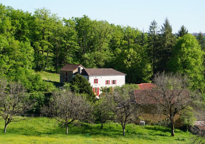 vente Domaine Corgnac Sur L'isle