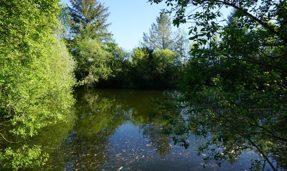 vente  Corgnac Sur L'isle