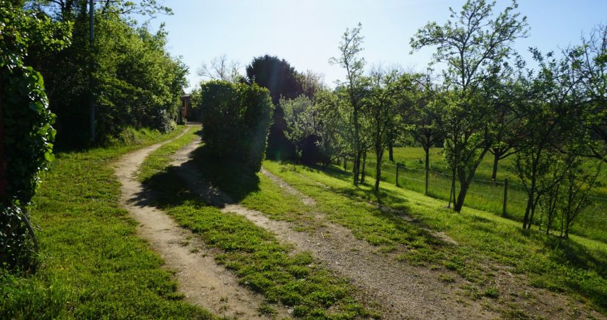 vente Domaine Corgnac Sur L'isle