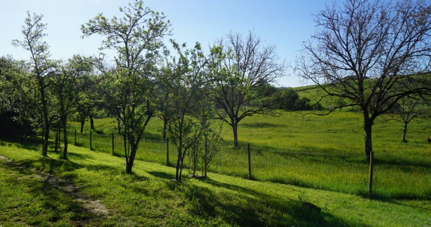 vente Domaine Corgnac Sur L'isle