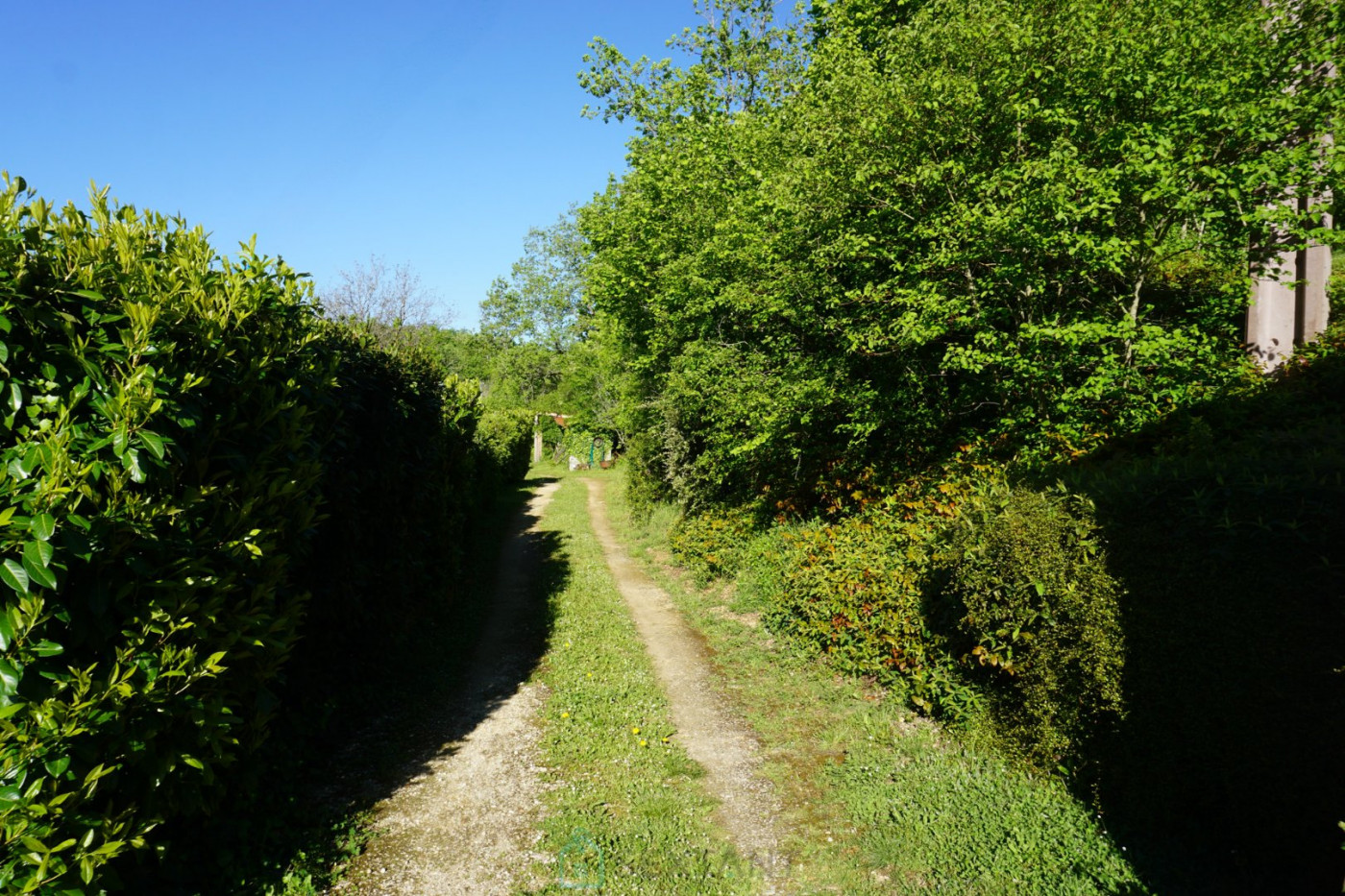 vente Domaine Corgnac Sur L'isle - Photo 11