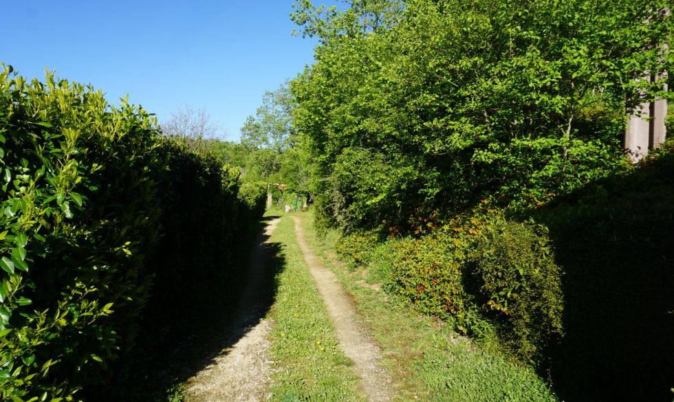 vente  Corgnac Sur L'isle