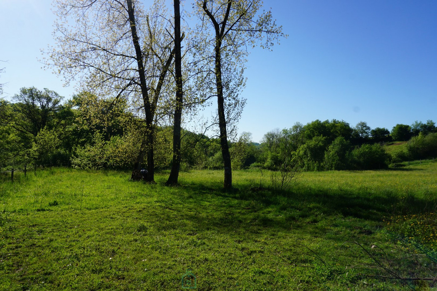 vente Domaine Corgnac Sur L'isle - Photo 10