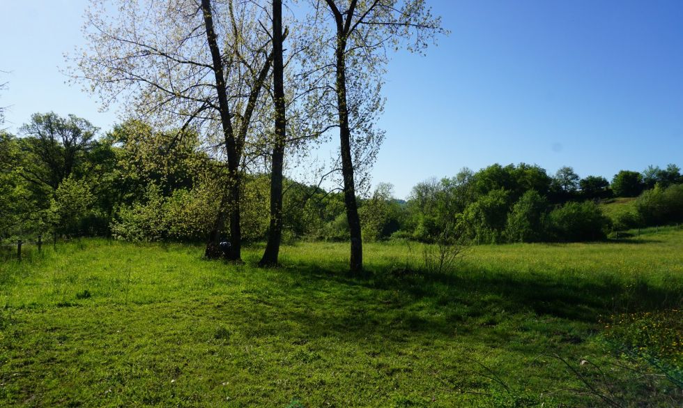 vente  Corgnac Sur L'isle