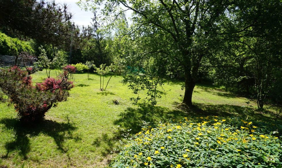 vente  Saint Jean De Cole