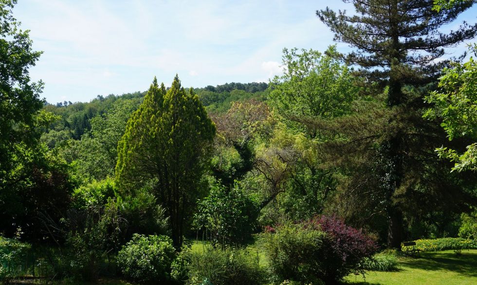 vente  Saint Jean De Cole