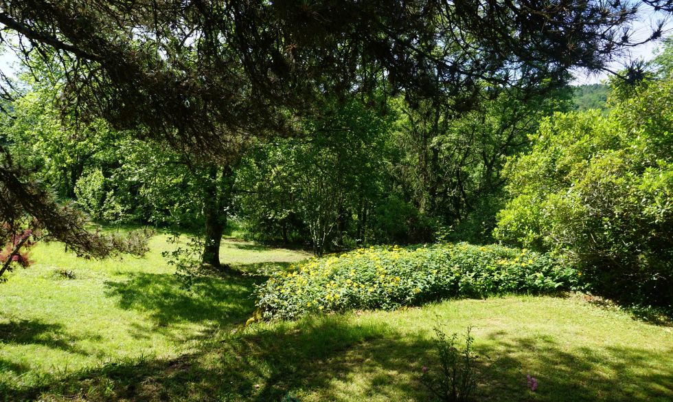 vente  Saint Jean De Cole