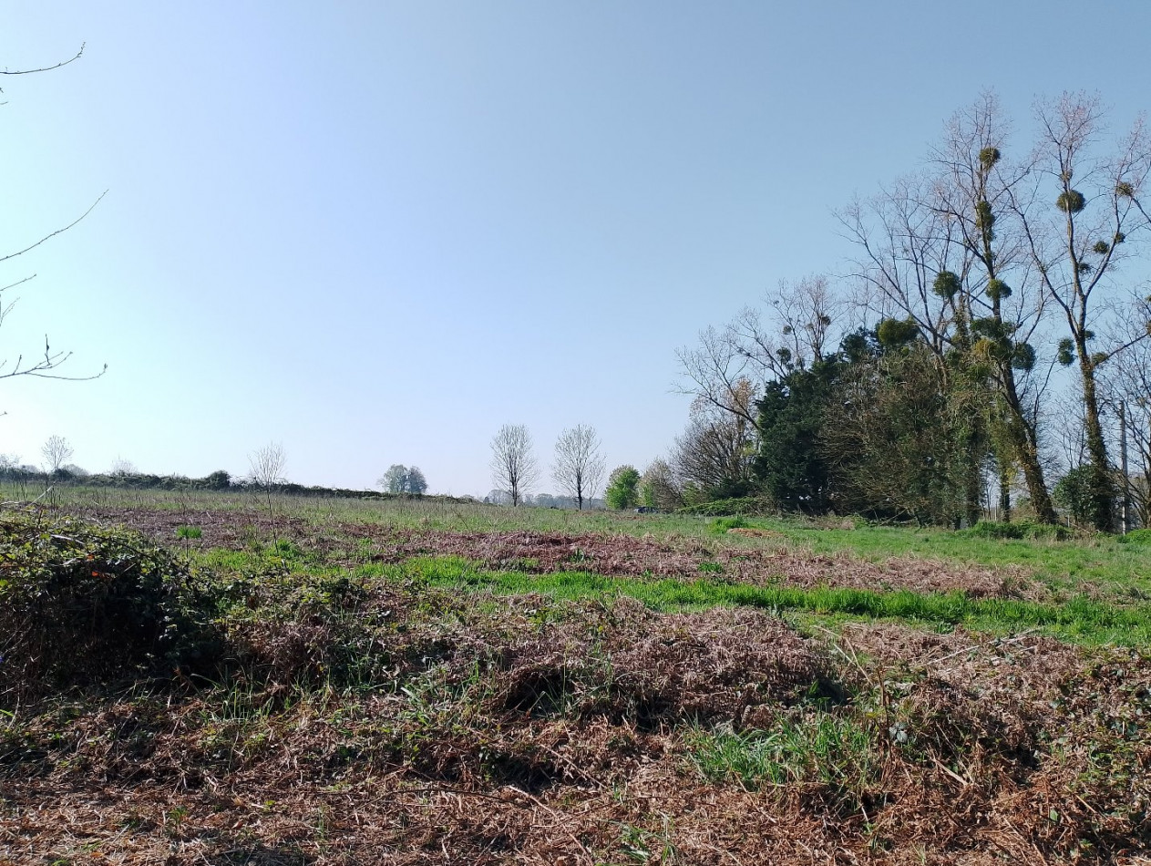 vente Maison Plumelin - Photo 13