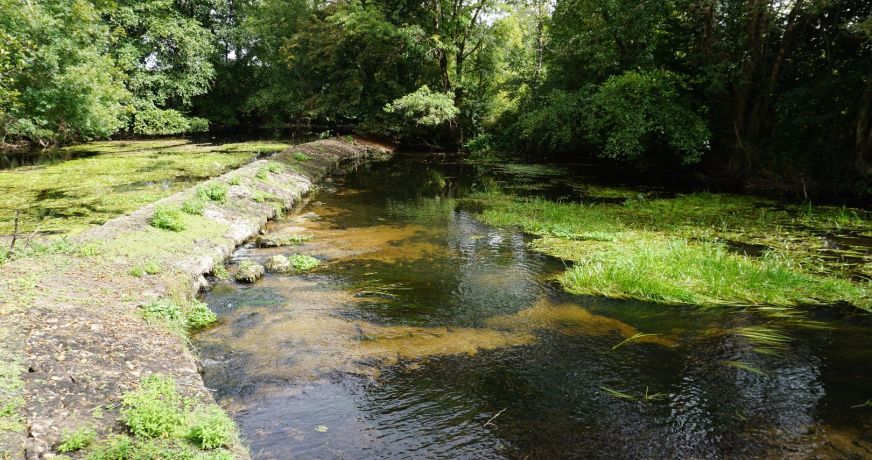 vente Moulin Champagnac De Belair
