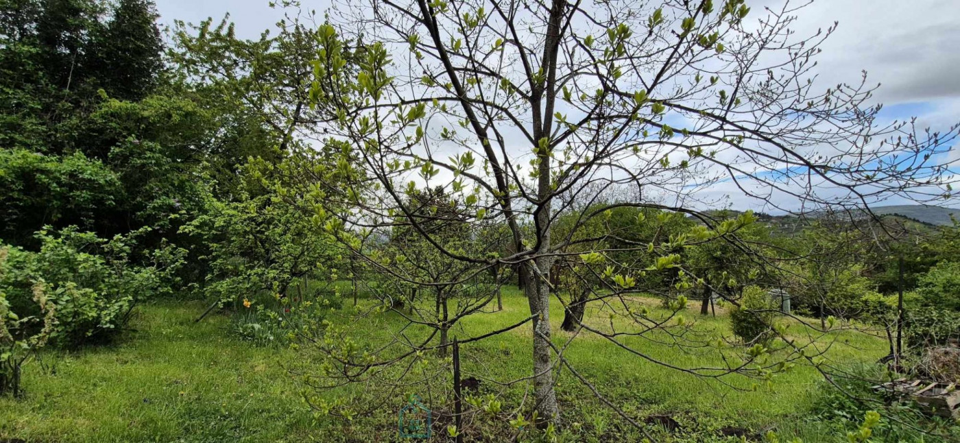 vente Ensemble immobilier Veyre Monton - Photo 13