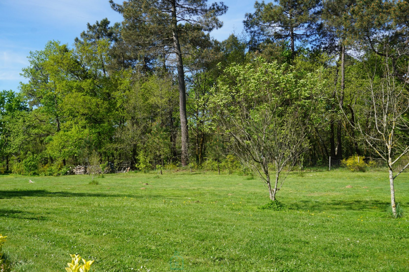 vente Villa Saint Romain Et Saint Clement - Photo 11