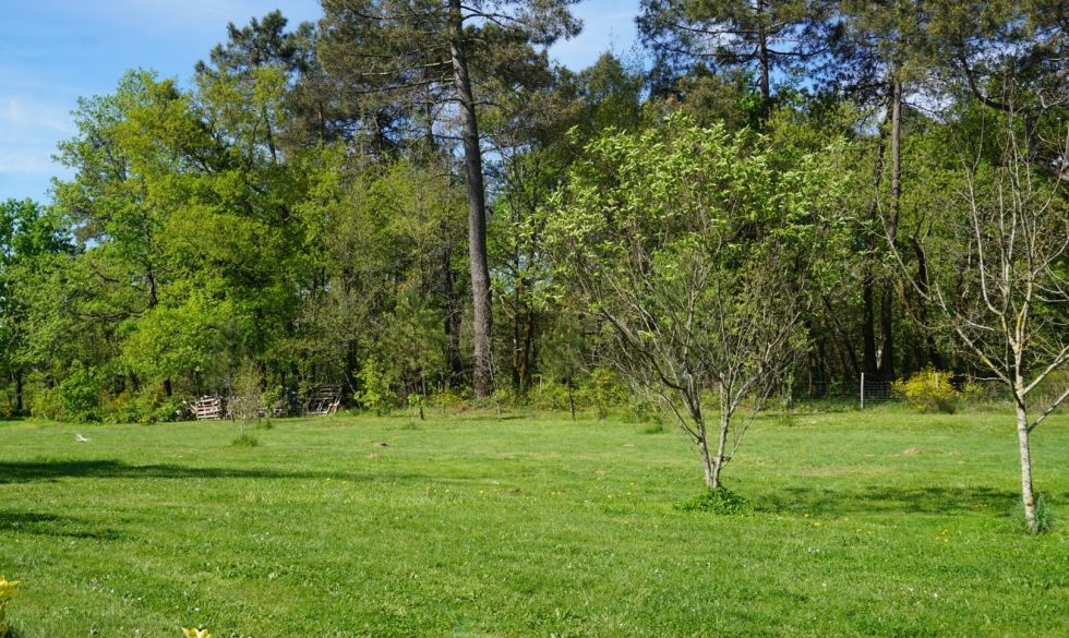 vente Saint Romain Et Saint Clement