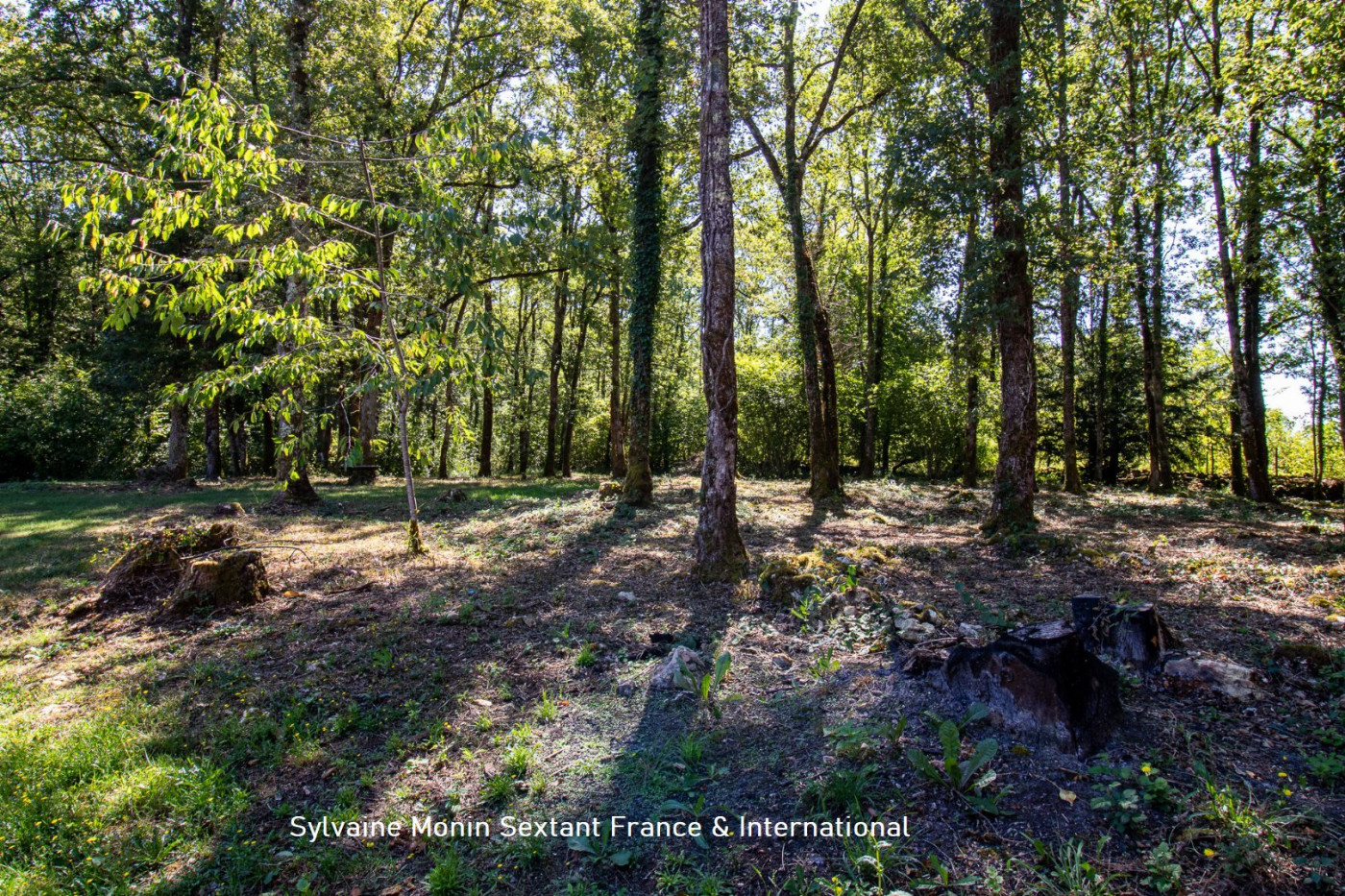 vente Villa Tourtoirac - Photo 12