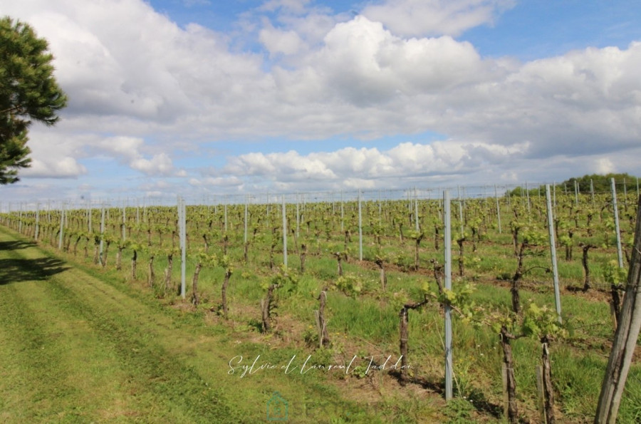 vente Propriété viticole Maransin - Photo 3