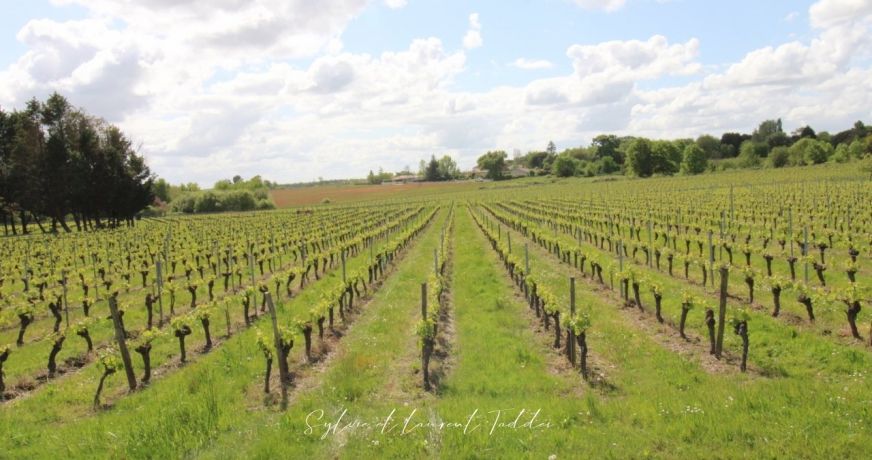 vente Propriété viticole Maransin