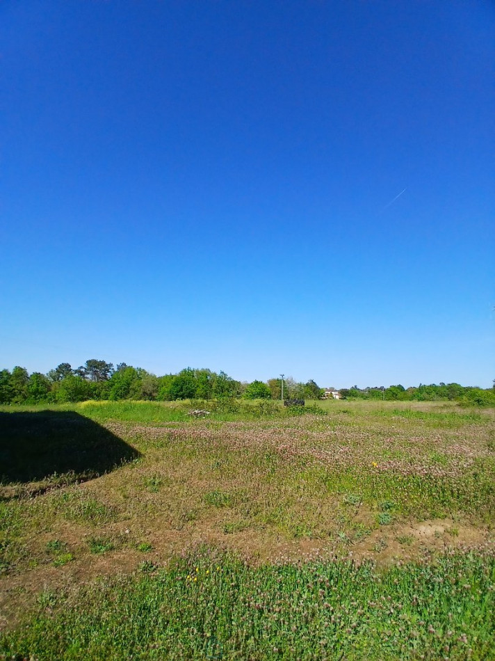 vente Terrain non constructible Saint Martin De Riberac - Photo 15