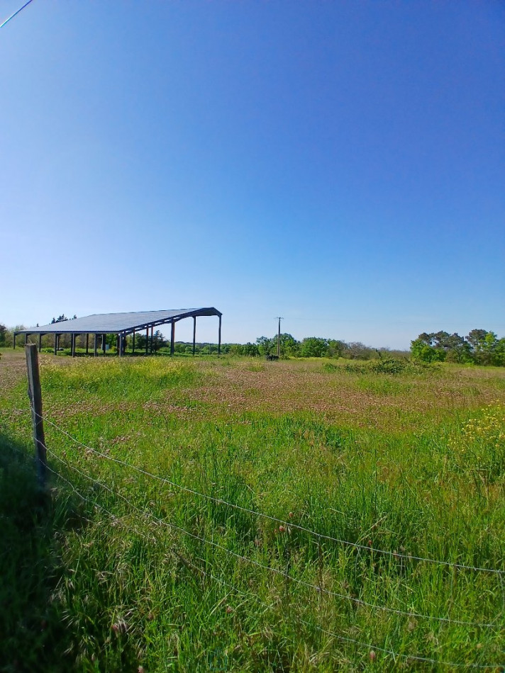 vente Terrain non constructible Saint Martin De Riberac - Photo 16