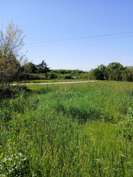 vente Terrain non constructible Saint Martin De Riberac - Photo 3