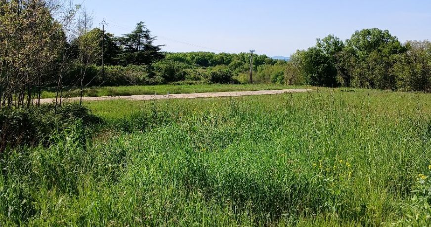 vente Terrain non constructible Saint Martin De Riberac