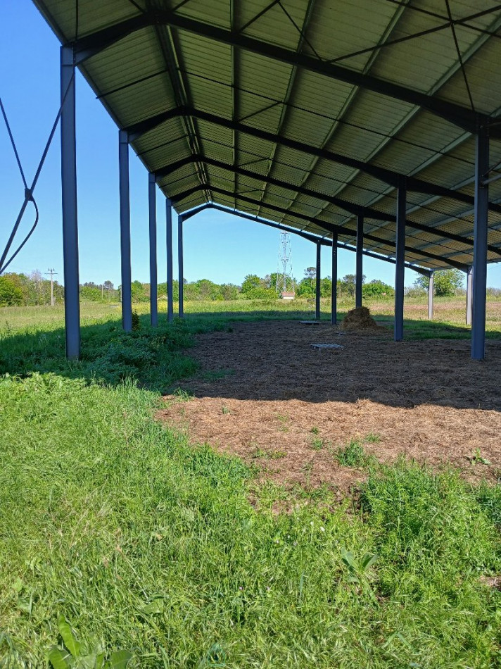 vente Terrain non constructible Saint Martin De Riberac - Photo 14