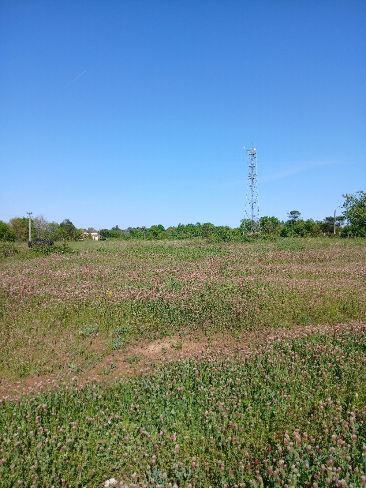 vente Terrain non constructible Saint Martin De Riberac - Photo 20