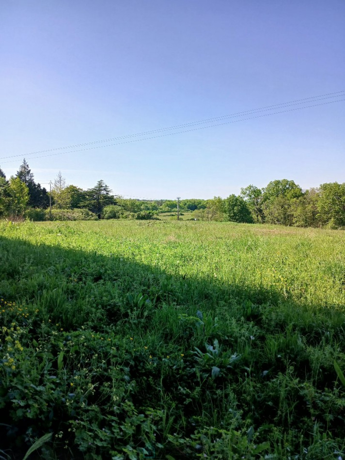 vente Terrain non constructible Saint Martin De Riberac - Photo 21