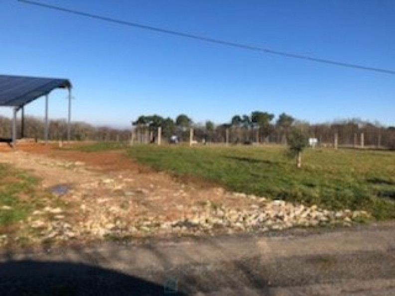 vente Terrain non constructible Saint Martin De Riberac - Photo 8