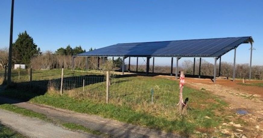 vente Terrain non constructible Saint Martin De Riberac