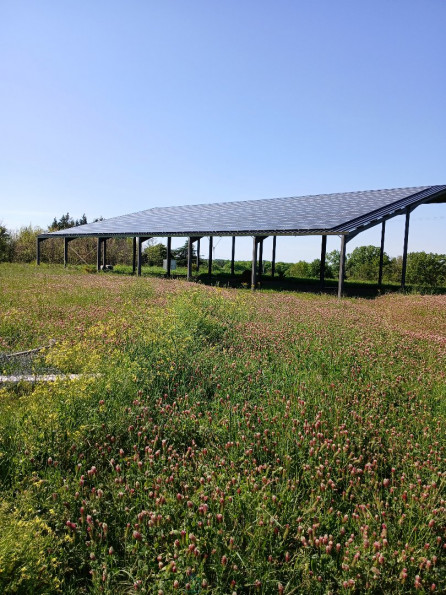 vente Terrain non constructible Saint Martin De Riberac - Photo 5