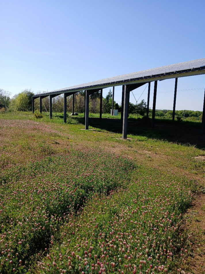 vente Terrain non constructible Saint Martin De Riberac - Photo 15