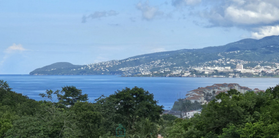 vente Maison et dépendances Les Trois Ilets - Photo 6