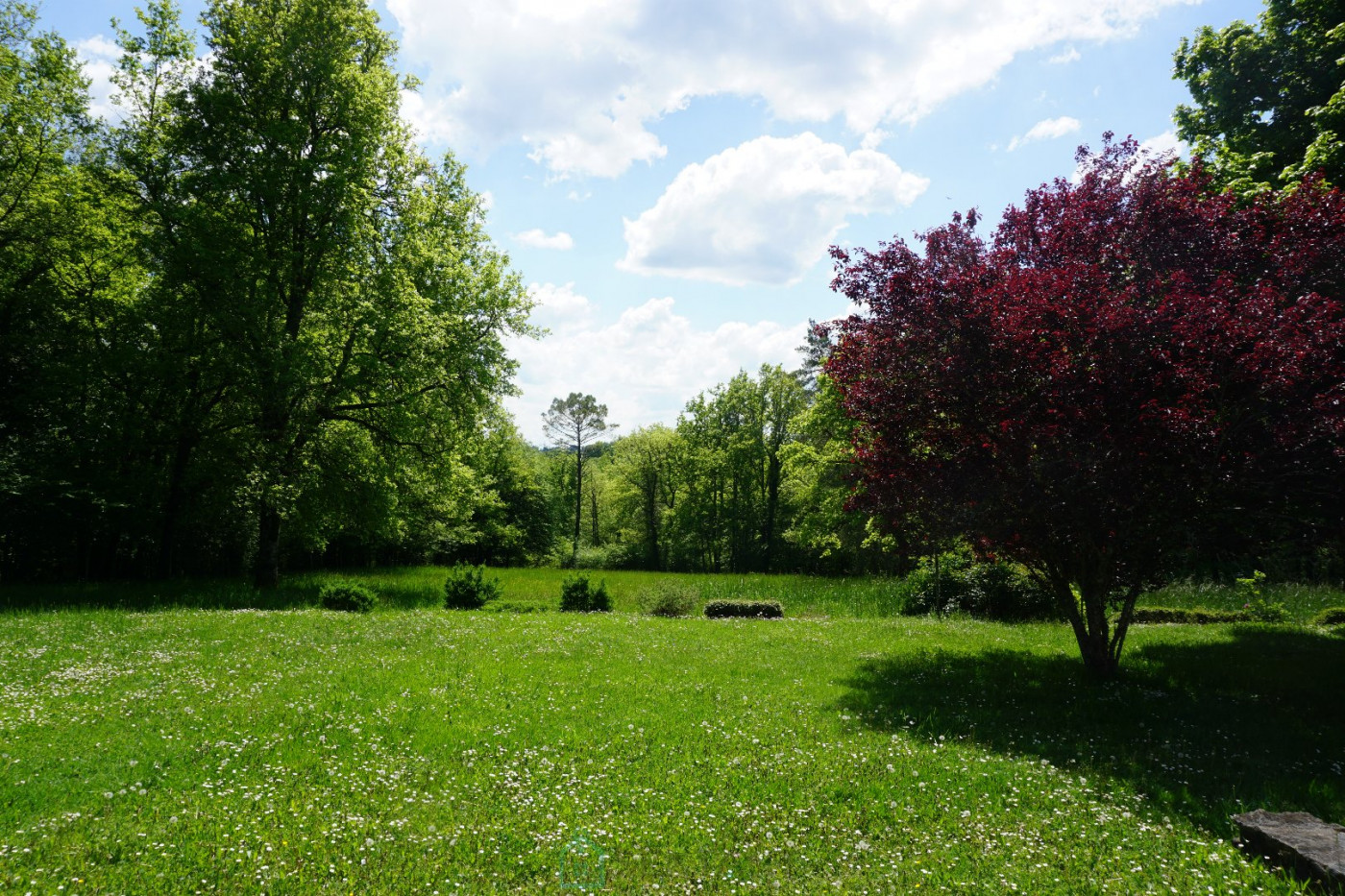 vente Domaine Villars - Photo 12