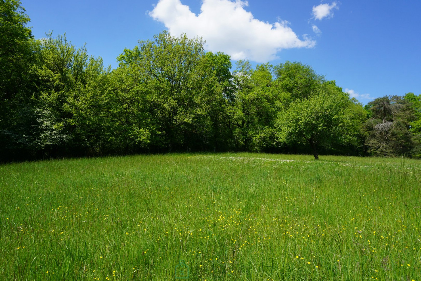 vente Domaine Villars - Photo 13