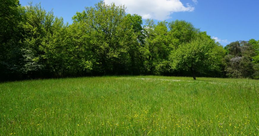 vente Domaine Villars